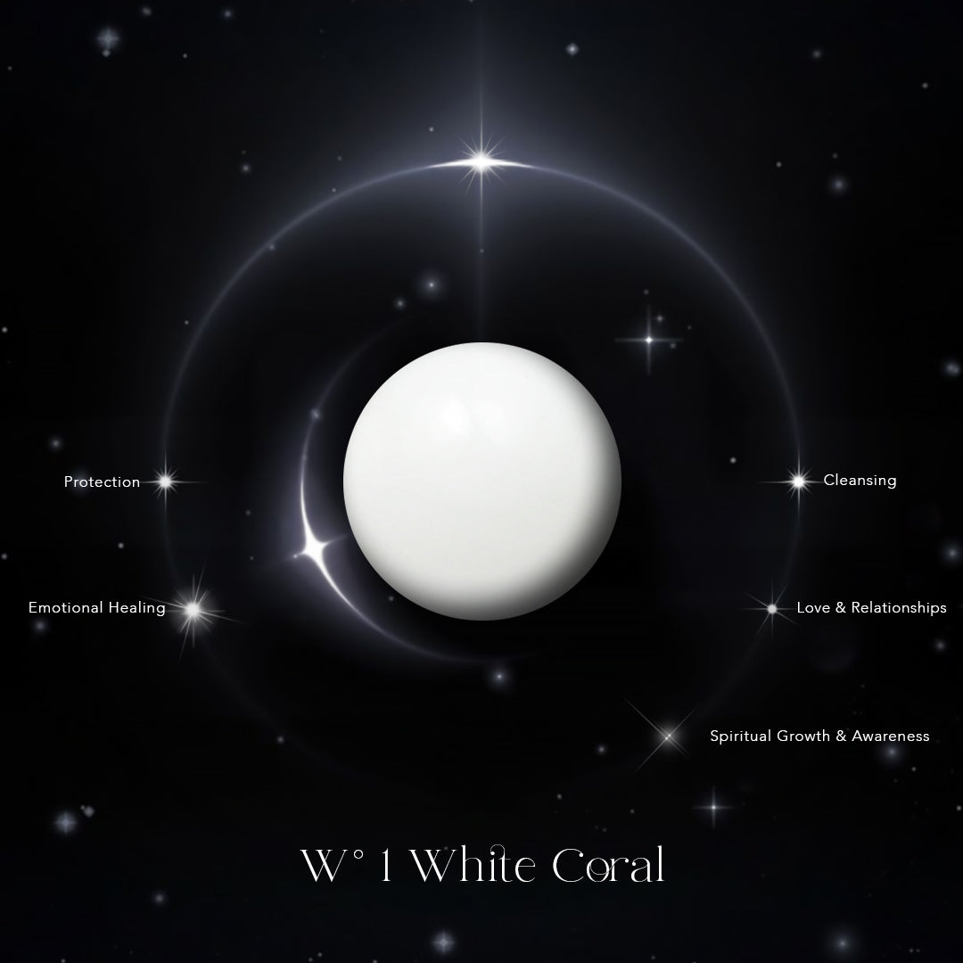 W° 1 White Coral