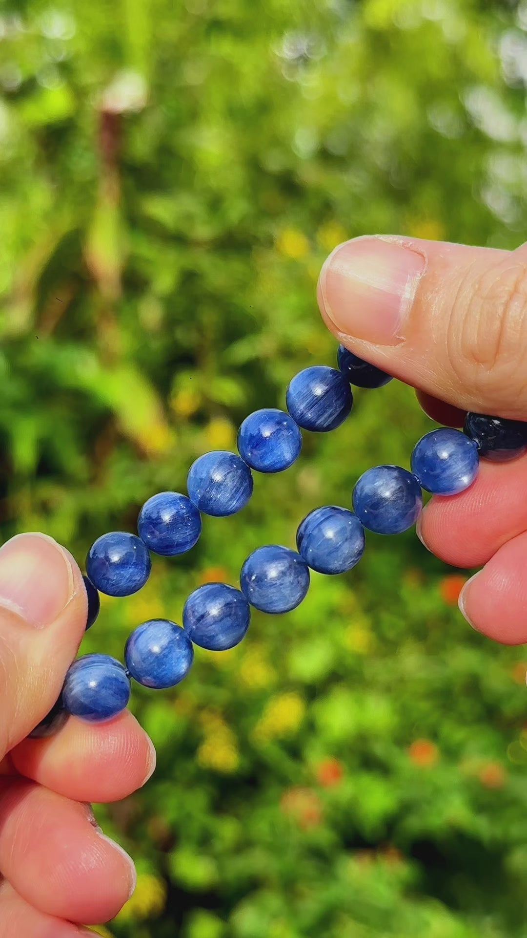 Blue Kyanite - Collector's