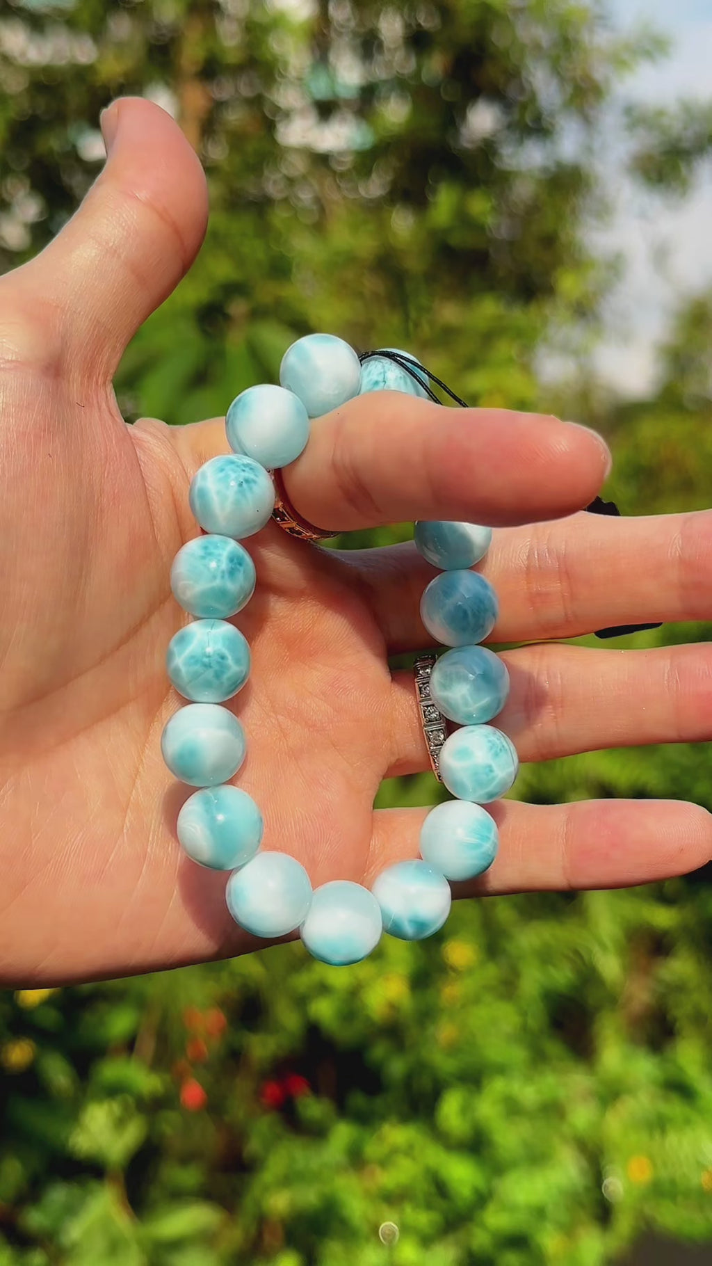 Larimar - Collector's